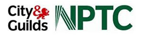 NPTC Qualified Tree Surgeon In West London